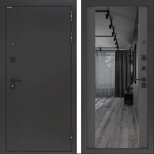 Товар Дверь BN-01.1 DIS006812